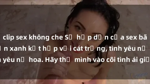 clip sex không che Sự hấp dẫn của sex bãi biển: Khi sóng biển xanh kết hợp với cát trắng, tình yêu nở hoa. Hãy thả mình vào cõi tình ái giữa sóng biển!