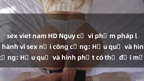 sex viet nam HD Nguy cơ vi phạm pháp luật khi thực hiện hành vi sex nơi công cộng: Hậu quả và hình phạt có thể đối mặt
